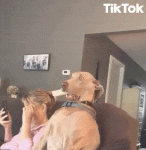 1708661765985.gif