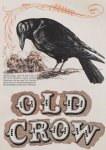 oldcrow.3.jpg