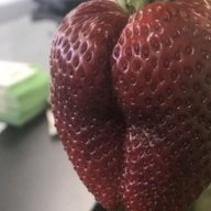 twignberries