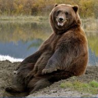 GrizzlyD69247