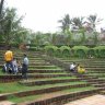 Bandstand