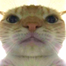 DavidJ7